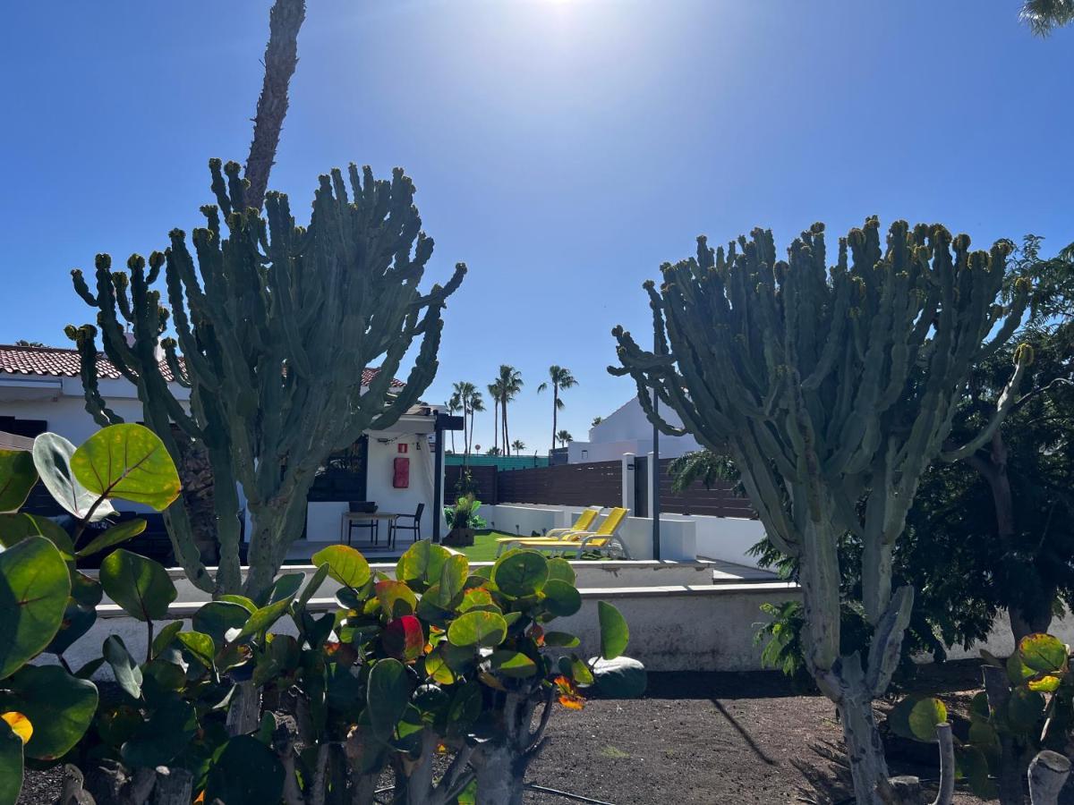 Escarabajo Bungalow Il Maggiolino Maspalomas  Luaran gambar